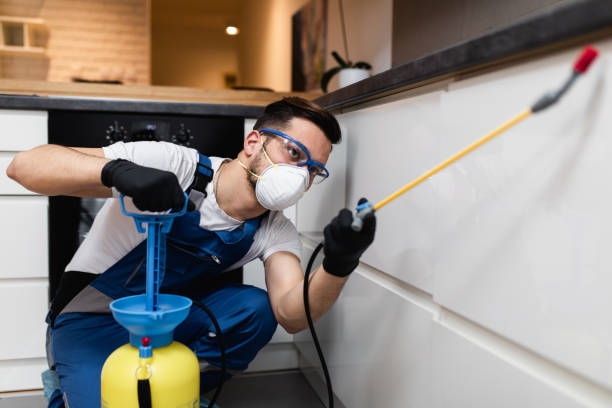 Best Pest Control Near Me in Kula, HI