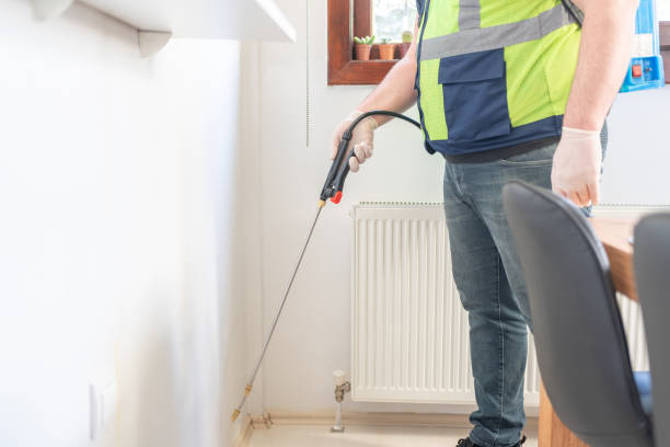 Best Mosquito Control Services  in Kula, HI
