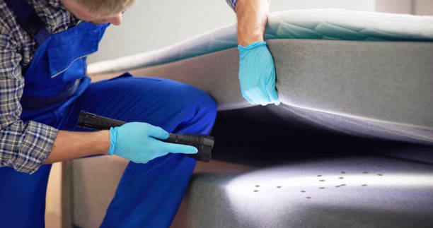Best Ant Control Services  in Kula, HI