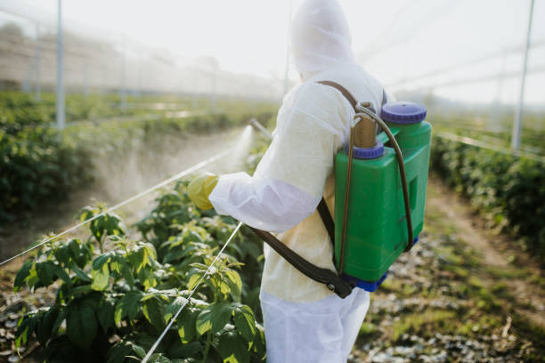 Best Best Pest Control Near Me  in Kula, HI